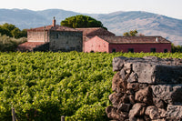 Five-course Planeta Wine Dinner | 20 November 2026